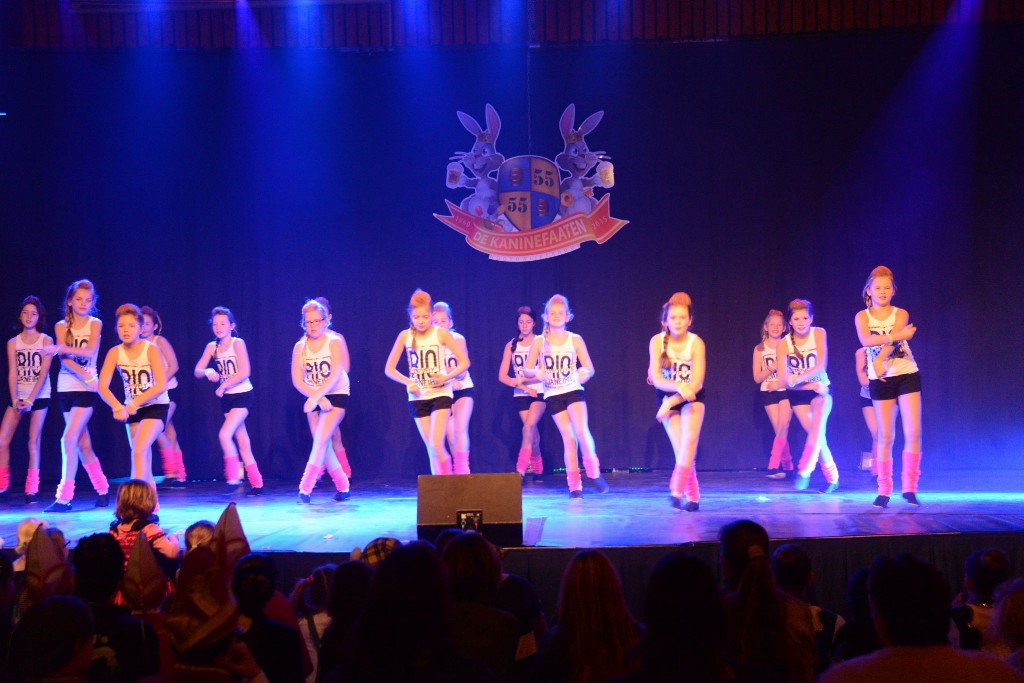 ../Images/Dansmarieke festival 2015 340.jpg